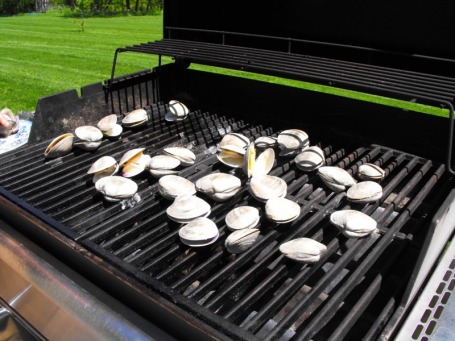 Clams on the grill. how to cook clam